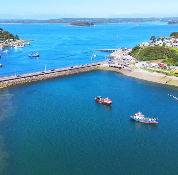 CALBUCO-4-1-1024x576